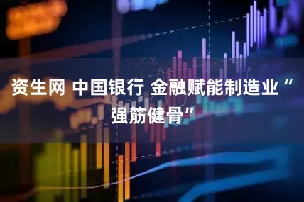资生网 中国银行 金融赋能制造业“强筋健骨”