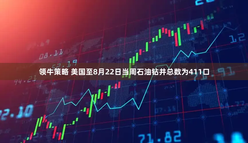 领牛策略 美国至8月22日当周石油钻井总数为411口