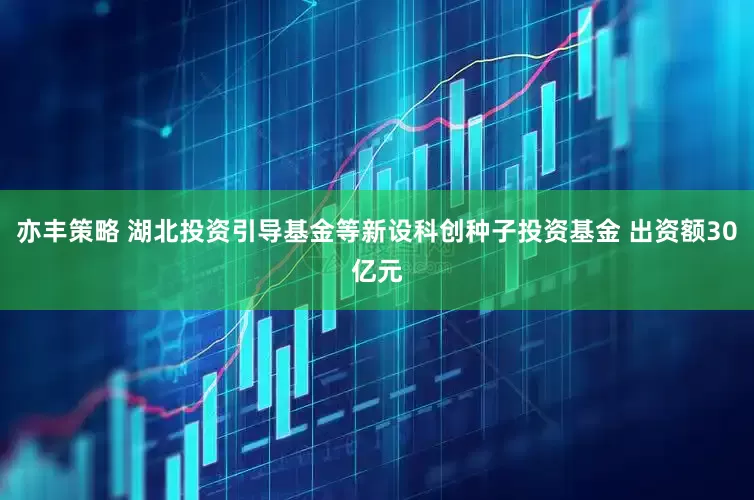 亦丰策略 湖北投资引导基金等新设科创种子投资基金 出资额30亿元