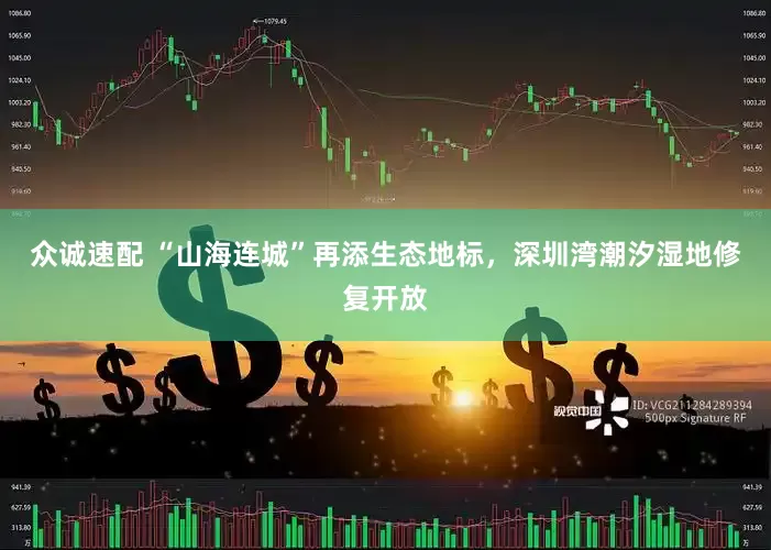 众诚速配 “山海连城”再添生态地标，深圳湾潮汐湿地修复开放